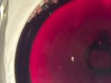 LINE_ALBUM_2026221 _1_260304_252.jpg